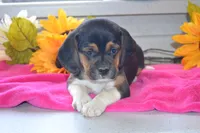 processed/77dbec85-72ab-4230-9505-024591cdf4f3/listing/31e6f219-5196-42f4-8c7b-d9f82a08468d/16aa886f-e842-4d59-b965-06f6f9174c8e