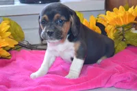 processed/77dbec85-72ab-4230-9505-024591cdf4f3/listing/31e6f219-5196-42f4-8c7b-d9f82a08468d/171097b5-d8bf-4ac1-87bd-717d7e776170