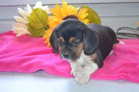 processed/77dbec85-72ab-4230-9505-024591cdf4f3/listing/31e6f219-5196-42f4-8c7b-d9f82a08468d/37b2bdee-a211-4bd2-a22c-b212698d2c31