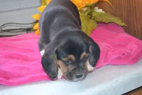 processed/77dbec85-72ab-4230-9505-024591cdf4f3/listing/31e6f219-5196-42f4-8c7b-d9f82a08468d/416706cc-4d59-4086-99e6-e007086015f1