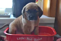 processed/77dbec85-72ab-4230-9505-024591cdf4f3/listing/3df67c83-c8b0-4f72-9cc8-a8a664517bf1/39884b57-6f97-406a-bd85-d51a02e3d005