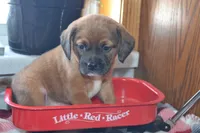 processed/77dbec85-72ab-4230-9505-024591cdf4f3/listing/3df67c83-c8b0-4f72-9cc8-a8a664517bf1/51015c07-e29a-48fe-a286-ceaa7524b510