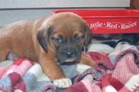 processed/77dbec85-72ab-4230-9505-024591cdf4f3/listing/3df67c83-c8b0-4f72-9cc8-a8a664517bf1/654bab01-3a4d-4198-b3af-442e69e52334