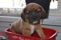 processed/77dbec85-72ab-4230-9505-024591cdf4f3/listing/3df67c83-c8b0-4f72-9cc8-a8a664517bf1/a20acbee-e736-4d6c-a196-ec094ccbba84