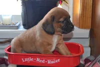 processed/77dbec85-72ab-4230-9505-024591cdf4f3/listing/3df67c83-c8b0-4f72-9cc8-a8a664517bf1/f4f136c2-72f4-4e2a-9189-79225ba21000