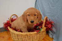 processed/77dbec85-72ab-4230-9505-024591cdf4f3/listing/4d58ad08-622f-4b69-97c1-e4eed1fd2019/df3692ea-76f2-4c74-8c2b-173c2cce5df4