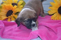 processed/77dbec85-72ab-4230-9505-024591cdf4f3/listing/791e2f18-77a3-4daf-838f-3637e5f3c316/917db550-4f4a-4e4c-9dd6-537125b8d993