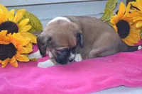 processed/77dbec85-72ab-4230-9505-024591cdf4f3/listing/791e2f18-77a3-4daf-838f-3637e5f3c316/d52f51da-f757-4cf8-8c3c-852a4b522db1