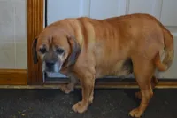 processed/77dbec85-72ab-4230-9505-024591cdf4f3/listing/791e2f18-77a3-4daf-838f-3637e5f3c316/e1bbfd7f-ca29-48fa-bbae-24d7e9548b62