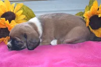 processed/77dbec85-72ab-4230-9505-024591cdf4f3/listing/791e2f18-77a3-4daf-838f-3637e5f3c316/e238b0e8-4e9d-4cc7-a075-8e504e08e047