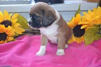 processed/77dbec85-72ab-4230-9505-024591cdf4f3/listing/791e2f18-77a3-4daf-838f-3637e5f3c316/f0f27924-eb45-459d-a471-a949edce388c