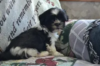 processed/77dbec85-72ab-4230-9505-024591cdf4f3/listing/88a15dad-0d85-4241-83a2-bb5ba32a0eb8/027a804b-9f30-44b7-8edd-29860ab49bd6