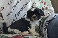 processed/77dbec85-72ab-4230-9505-024591cdf4f3/listing/88a15dad-0d85-4241-83a2-bb5ba32a0eb8/593b7c24-9338-4937-a9b2-65738c15e02f