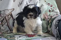 processed/77dbec85-72ab-4230-9505-024591cdf4f3/listing/88a15dad-0d85-4241-83a2-bb5ba32a0eb8/7e50ade0-1062-4989-8799-8c18139f96bc