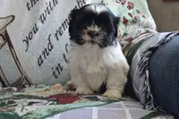 processed/77dbec85-72ab-4230-9505-024591cdf4f3/listing/88a15dad-0d85-4241-83a2-bb5ba32a0eb8/80649fa3-2af2-4975-871b-6c0f9802fbed