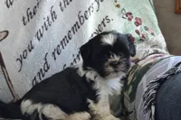 processed/77dbec85-72ab-4230-9505-024591cdf4f3/listing/88a15dad-0d85-4241-83a2-bb5ba32a0eb8/943c659b-c066-4720-873f-127275946a56