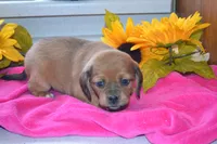 processed/77dbec85-72ab-4230-9505-024591cdf4f3/listing/8dae9e88-8588-47d2-a1b1-56fdfe05f8ca/0df2ac2b-5e42-491d-86c0-8e81e1c22096