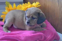 processed/77dbec85-72ab-4230-9505-024591cdf4f3/listing/8dae9e88-8588-47d2-a1b1-56fdfe05f8ca/2200d079-201f-4124-9cbc-a4ed82b020be