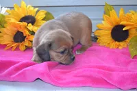 processed/77dbec85-72ab-4230-9505-024591cdf4f3/listing/8dae9e88-8588-47d2-a1b1-56fdfe05f8ca/3df85c33-4daf-4d73-822b-e24471cf1530