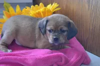 processed/77dbec85-72ab-4230-9505-024591cdf4f3/listing/8dae9e88-8588-47d2-a1b1-56fdfe05f8ca/5ded7bf4-a960-41d2-9c6c-84277414222b