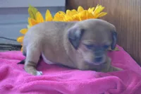 processed/77dbec85-72ab-4230-9505-024591cdf4f3/listing/8dae9e88-8588-47d2-a1b1-56fdfe05f8ca/e0b90add-5d4d-4e89-b66b-c17b21e76c45