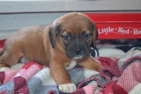 processed/77dbec85-72ab-4230-9505-024591cdf4f3/listing/909f9f03-7f5e-44b3-9ad3-087f2ad2d56f/5eca9abe-aabe-4303-9b3a-02b7a518206f