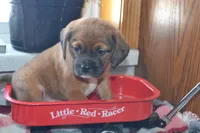 processed/77dbec85-72ab-4230-9505-024591cdf4f3/listing/909f9f03-7f5e-44b3-9ad3-087f2ad2d56f/b0db8b88-ee8a-439e-a747-8d334d4ea995