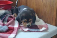 processed/77dbec85-72ab-4230-9505-024591cdf4f3/listing/a30c088d-81f3-4139-8439-a2db35897c61/3a7304d5-033e-4a68-a95d-bd71e0087cc4