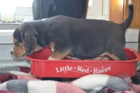 processed/77dbec85-72ab-4230-9505-024591cdf4f3/listing/a30c088d-81f3-4139-8439-a2db35897c61/98a51243-f1ab-44ed-9517-1b67a3a574b6