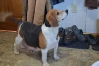 processed/77dbec85-72ab-4230-9505-024591cdf4f3/listing/a30c088d-81f3-4139-8439-a2db35897c61/bfab2aca-951e-4a4a-b9aa-493501ce9e98