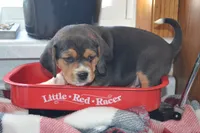 processed/77dbec85-72ab-4230-9505-024591cdf4f3/listing/a30c088d-81f3-4139-8439-a2db35897c61/db6ee7d6-2c3d-423b-9649-f5f1ed28fac8