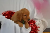 processed/77dbec85-72ab-4230-9505-024591cdf4f3/listing/a326a11e-2208-478e-ace3-3c704e404388/23c906ab-4e65-444b-9278-d04f248b75ed