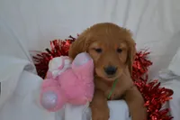 processed/77dbec85-72ab-4230-9505-024591cdf4f3/listing/a326a11e-2208-478e-ace3-3c704e404388/26e26f12-6439-4fa0-ad03-7921747e679b