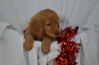 processed/77dbec85-72ab-4230-9505-024591cdf4f3/listing/a326a11e-2208-478e-ace3-3c704e404388/671989f7-3c8d-4957-9f4b-4e1a3dcbb2da