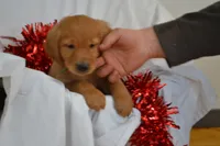 processed/77dbec85-72ab-4230-9505-024591cdf4f3/listing/a326a11e-2208-478e-ace3-3c704e404388/756e323d-cf78-4ef1-b736-e83416d39655