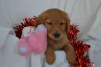 processed/77dbec85-72ab-4230-9505-024591cdf4f3/listing/a326a11e-2208-478e-ace3-3c704e404388/88106fca-4538-4415-b85c-a37dc2645a9e