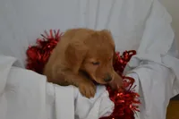 processed/77dbec85-72ab-4230-9505-024591cdf4f3/listing/a326a11e-2208-478e-ace3-3c704e404388/cf71a32f-478c-4f9e-8efe-b69176893d8d