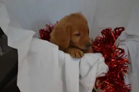 processed/77dbec85-72ab-4230-9505-024591cdf4f3/listing/a326a11e-2208-478e-ace3-3c704e404388/dddb68d0-9dbe-4246-a2f6-c2f7ecbca4c2