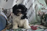 processed/77dbec85-72ab-4230-9505-024591cdf4f3/listing/b41eec2a-2532-4177-8aaa-8a1e3e7a4bb7/5b598ec7-63f2-4974-89cc-74905075c483