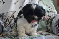 processed/77dbec85-72ab-4230-9505-024591cdf4f3/listing/b41eec2a-2532-4177-8aaa-8a1e3e7a4bb7/5e38f6f4-9829-41c3-9a92-ae8cce4ffdf9