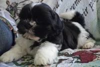 processed/77dbec85-72ab-4230-9505-024591cdf4f3/listing/b41eec2a-2532-4177-8aaa-8a1e3e7a4bb7/6043b07d-683c-4d94-8779-2dee716264c1