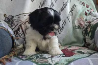 processed/77dbec85-72ab-4230-9505-024591cdf4f3/listing/b41eec2a-2532-4177-8aaa-8a1e3e7a4bb7/61c59150-69f5-49ca-983c-206ea7fbf294