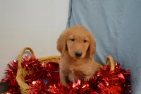 processed/77dbec85-72ab-4230-9505-024591cdf4f3/listing/c8a5d43d-420a-42cd-9ae4-d234c6a87073/076a5a03-4947-4c42-ad26-92a8fde9901d