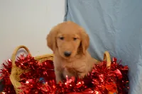 processed/77dbec85-72ab-4230-9505-024591cdf4f3/listing/c8a5d43d-420a-42cd-9ae4-d234c6a87073/8e86fc68-7201-4ce2-89e7-ba6bd09bff30