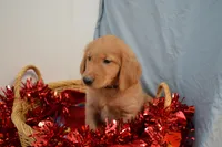 processed/77dbec85-72ab-4230-9505-024591cdf4f3/listing/c8a5d43d-420a-42cd-9ae4-d234c6a87073/9d9412dc-e60b-4978-ac6e-fbcc2d447211