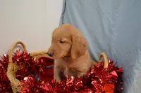 processed/77dbec85-72ab-4230-9505-024591cdf4f3/listing/c8a5d43d-420a-42cd-9ae4-d234c6a87073/e2efc285-67dd-49da-b324-5ce86f6eb98a