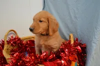 processed/77dbec85-72ab-4230-9505-024591cdf4f3/listing/c8a5d43d-420a-42cd-9ae4-d234c6a87073/f9c51471-e380-48d6-b15e-d342d1c4754a