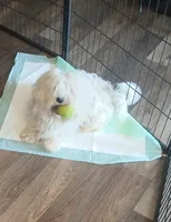 processed/77e243ec-4327-464d-965d-7bef927d0add/facility/22c20b88-e73f-4f85-aa00-43a4e2326500