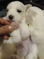 processed/77e243ec-4327-464d-965d-7bef927d0add/facility/3718a84c-b367-45dc-ae5b-a8c997004687