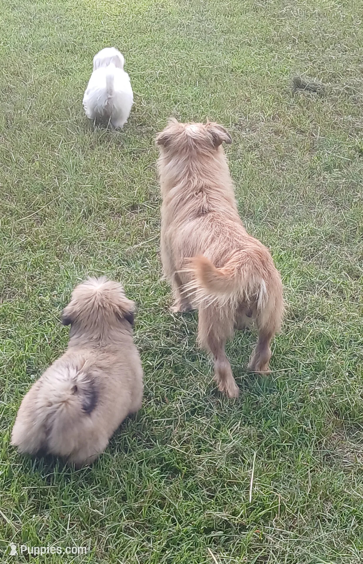 processed/77e243ec-4327-464d-965d-7bef927d0add/facility/3bf04429-2e45-4932-8e94-a4097e362f7d